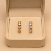Zircon Fancy Studs-164 (Golden)